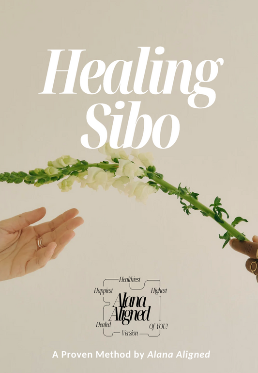 Healing SIBO Protocol